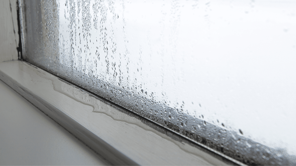 Close-up of condensation pooling on a window.